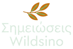 WILDSINO CASINO